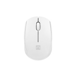 STORK RATÓN HOGAR...